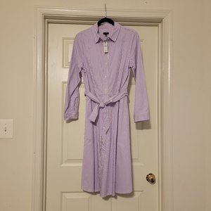 Cotton Pinstripe Longsleeve Dress